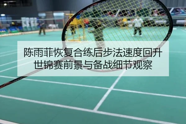 陈雨菲恢复合练后步法速度回升 世锦赛前景与备战细节观察