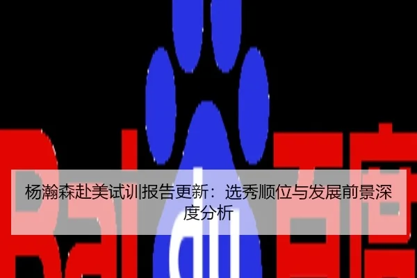 杨瀚森赴美试训报告更新：选秀顺位与发展前景深度分析