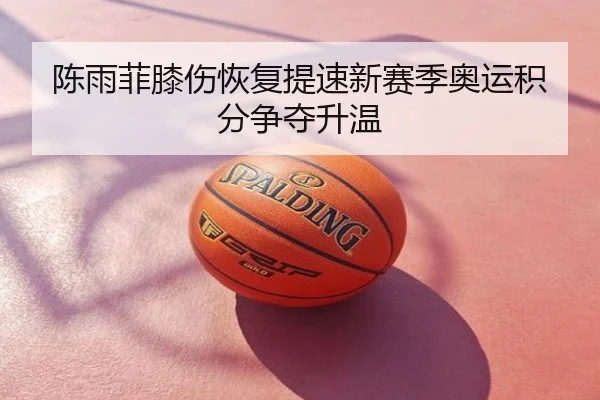 陈雨菲膝伤恢复提速新赛季奥运积分争夺升温